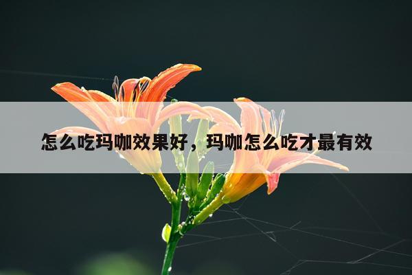 怎么吃玛咖效果好,玛咖怎么吃才最有效