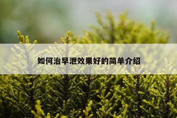 如何治早泄效果好的简单介绍