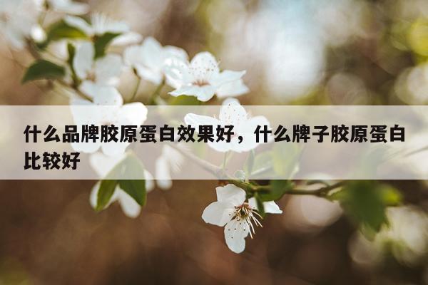 什么品牌胶原蛋白效果好,什么牌子胶原蛋白比较好