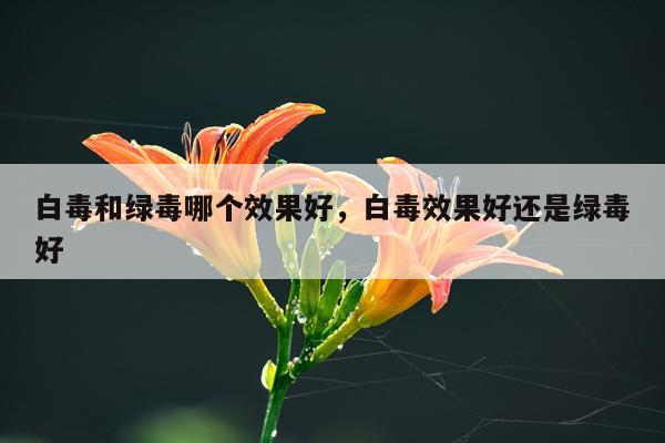 白毒和绿毒哪个效果好,白毒效果好还是绿毒好