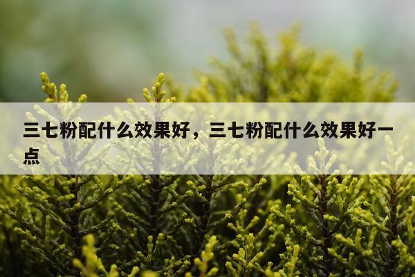 三七粉配什么效果好,三七粉配什么效果好一点