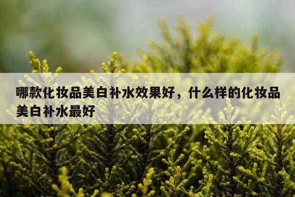 哪款化妆品美白补水效果好,什么样的化妆品美白补水最好