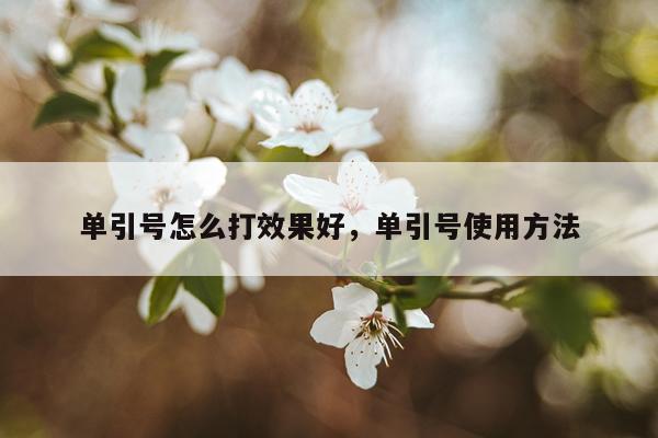 单引号怎么打效果好,单引号使用方法