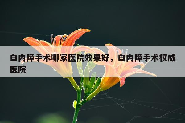 白内障手术哪家医院效果好,白内障手术权威医院