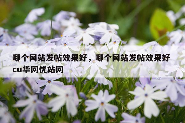 哪个网站发帖效果好,哪个网站发帖效果好 cu华网优站网