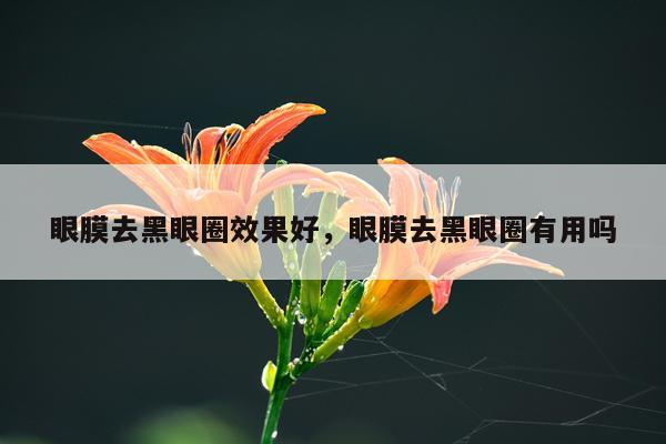 眼膜去黑眼圈效果好,眼膜去黑眼圈有用吗
