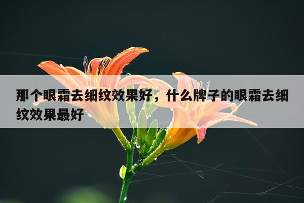 那个眼霜去细纹效果好,什么牌子的眼霜去细纹效果最好