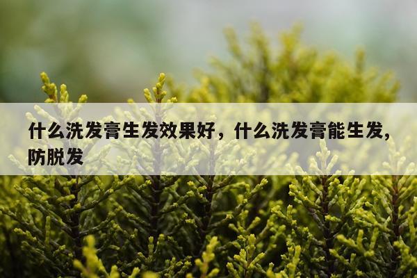 什么洗发膏生发效果好,什么洗发膏能生发,防脱发