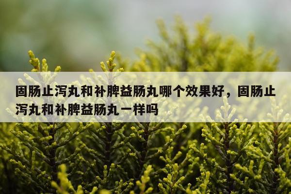 固肠止泻丸和补脾益肠丸哪个效果好,固肠止泻丸和补脾益肠丸一样吗