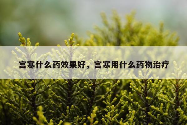 宫寒什么药效果好,宫寒用什么药物治疗