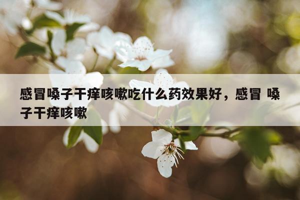 感冒嗓子干痒咳嗽吃什么药效果好,感冒 嗓子干痒咳嗽