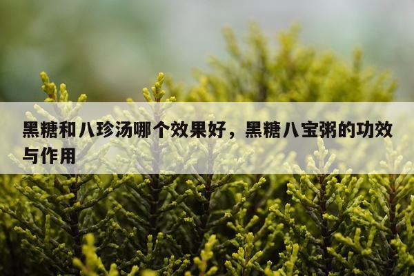 黑糖和八珍汤哪个效果好,黑糖八宝粥的功效与作用