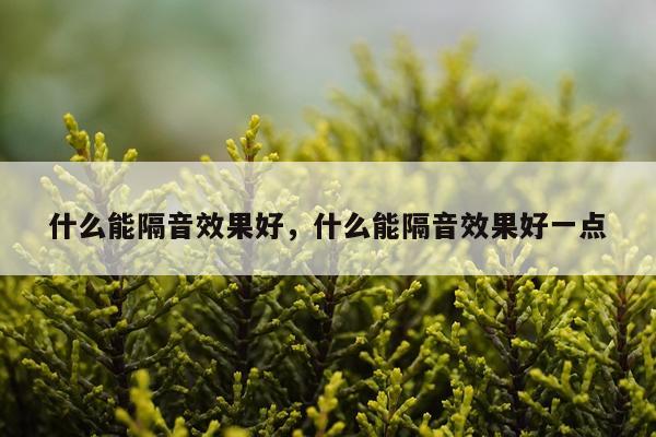 什么能隔音效果好,什么能隔音效果好一点