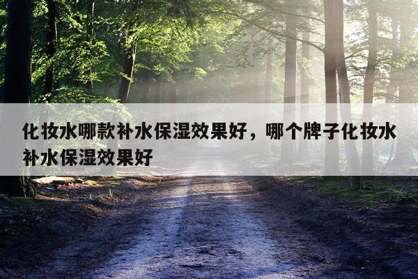 化妆水哪款补水保湿效果好,哪个牌子化妆水补水保湿效果好