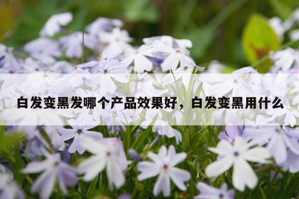 白发变黑发哪个产品效果好,白发变黑用什么