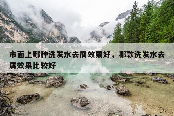 市面上哪种洗发水去屑效果好,哪款洗发水去屑效果比较好