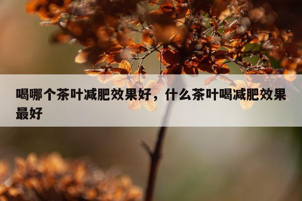 喝哪个茶叶减肥效果好,什么茶叶喝减肥效果最好