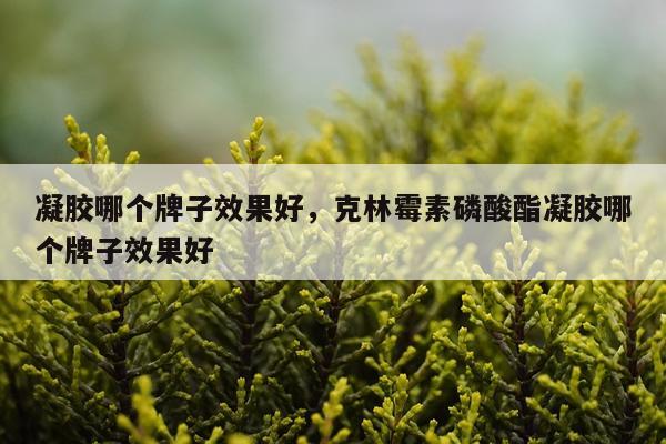 凝胶哪个牌子效果好,克林霉素磷酸酯凝胶哪个牌子效果好
