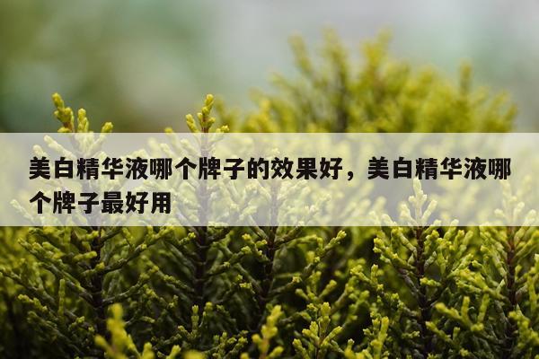 美白精华液哪个牌子的效果好,美白精华液哪个牌子最好用