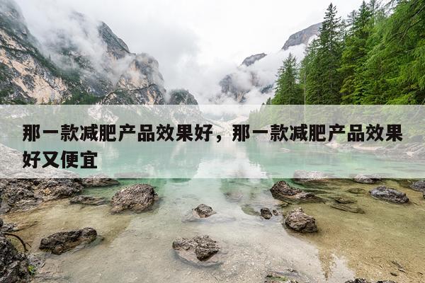 那一款减肥产品效果好,那一款减肥产品效果好又便宜