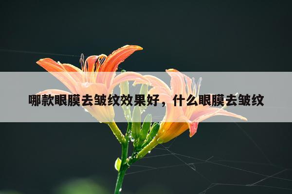 哪款眼膜去皱纹效果好,什么眼膜去皱纹