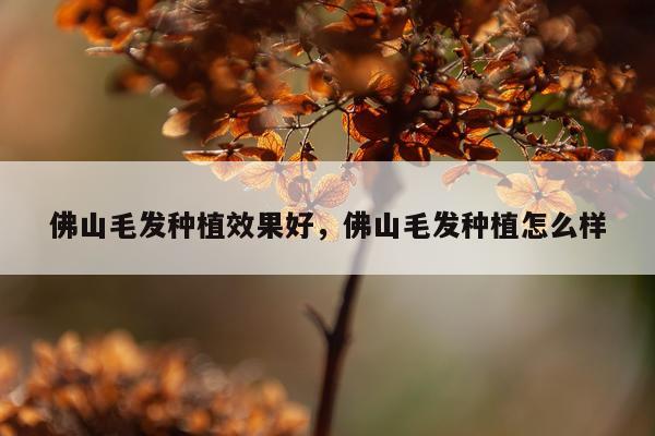 佛山毛发种植效果好,佛山毛发种植怎么样