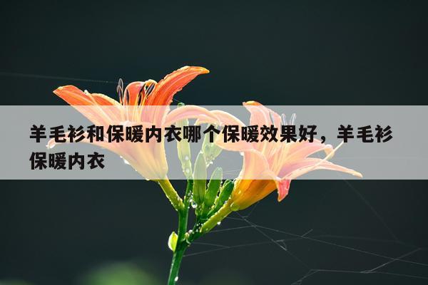 羊毛衫和保暖内衣哪个保暖效果好,羊毛衫 保暖内衣