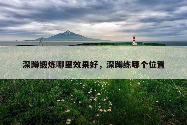 深蹲锻炼哪里效果好,深蹲练哪个位置