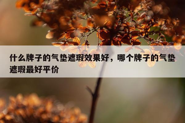 什么牌子的气垫遮瑕效果好,哪个牌子的气垫遮瑕最好平价