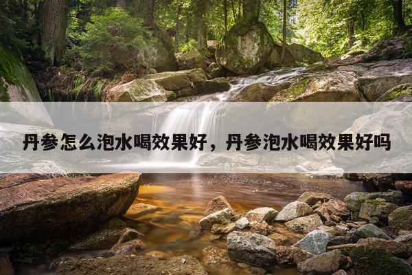 丹参怎么泡水喝效果好,丹参泡水喝效果好吗