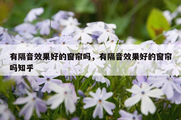 有隔音效果好的窗帘吗,有隔音效果好的窗帘吗知乎