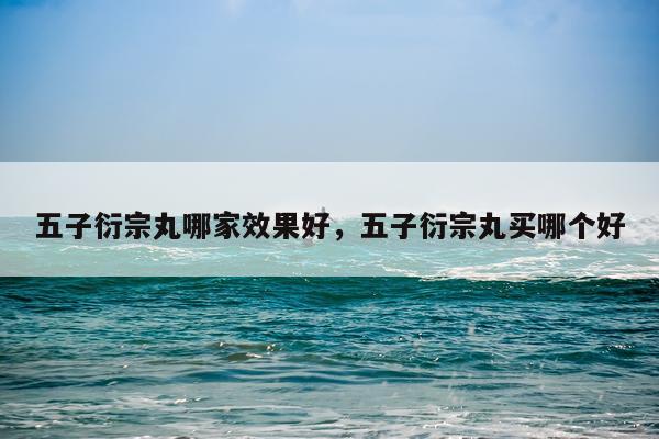 五子衍宗丸哪家效果好,五子衍宗丸买哪个好