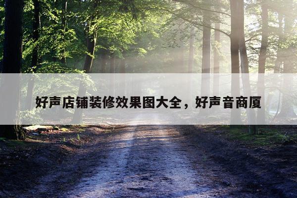 好声店铺装修效果图大全,好声音商厦