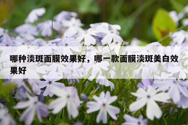 哪种淡斑面膜效果好,哪一款面膜淡斑美白效果好