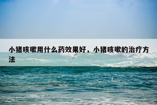小猪咳嗽用什么药效果好,小猪咳嗽的治疗方法