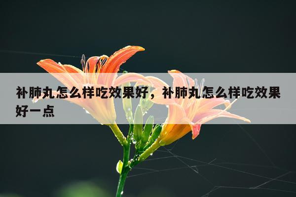 补肺丸怎么样吃效果好,补肺丸怎么样吃效果好一点
