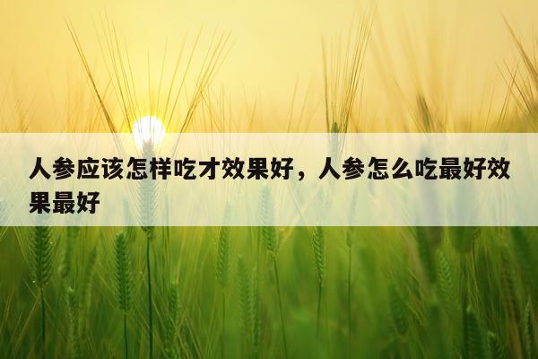 人参应该怎样吃才效果好,人参怎么吃最好效果最好