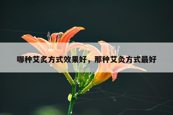 哪种艾炙方式效果好,那种艾灸方式最好
