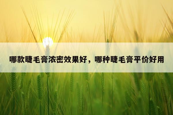 哪款睫毛膏浓密效果好,哪种睫毛膏平价好用