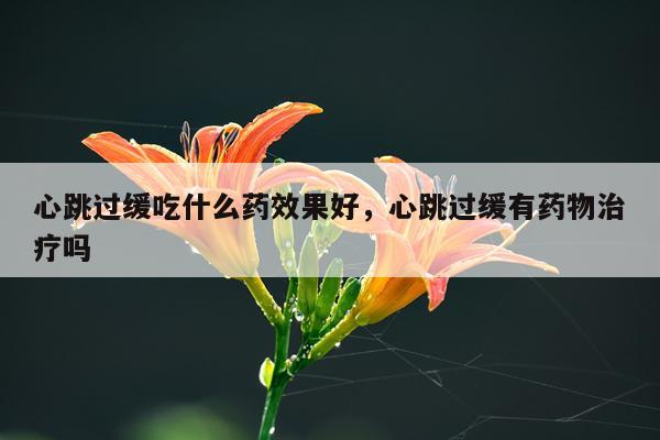 心跳过缓吃什么药效果好,心跳过缓有药物治疗吗