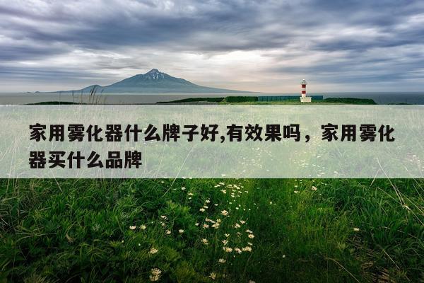 家用雾化器什么牌子好,有效果吗,家用雾化器买什么品牌